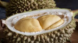 Durian Musangking