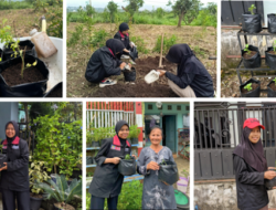 Optimalisasi Lahan Produktif Melalui Budidaya Cabai dan Kelor Untuk Ketahanan Pangan Masyarakat