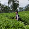 Belajar menikmati menghirup suasana di Setiap Teh Tambi
