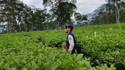 Belajar menikmati menghirup suasana di Setiap Teh Tambi