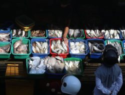 Jaga Stabilitas Harga Pangan, Kemendagri Dorong Kepala Daerah Kolaborasi