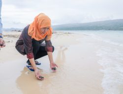 Gubernur Khofifah Lepas Puluhan Tukik di Pulau Tabuhan Banyuwangi, Ajak Masyarakat Galakkan Konservasi Penyu di Jatim