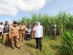 Gubernur Khofifah Pastikan Lahan 9,7 Hektare di Kabupaten Malang Siap Untuk Sekolah Rakyat Standar Internasional