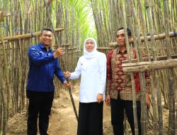 Gubernur Khofifah Luncurkan KUR Khusus Petani Tebu Jatim, Optimis Wujudkan Percepatan Swasembada Gula Nasional