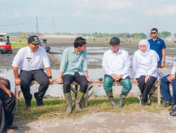 Dampingi Wapres RI Tanam Padi Dan Tinjau Pabrik Beras di Ngawi, Gubernur Khofifah Tunjukkan Keunggulan Produktivitas Padi Ngawi
