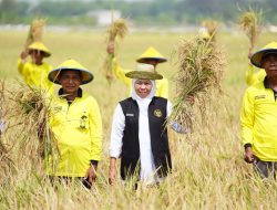 Potensi Produksi Padi Januari-Juli 2025 Nyaris 9 Juta Ton GKP, Gubernur Khofifah Optimis Wujudkan Kedaulatan Pangan Nasional dari Jatim