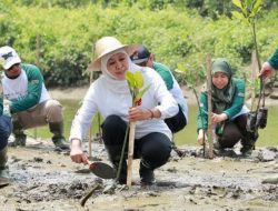 Hutan Mangrove Jatim Terluas di Pulau Jawa, Gubernur Khofifah Ajak Masyarakat Sedekah Oksigen Lewat Gerakan Tanam Mangrove