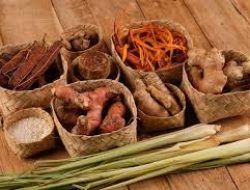 Tanaman Obat Murah Mudah dan Kaya Manfaat untuk Kesehatan