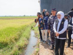 Gubernur Khofifah, Serahkan Bantuan Alsintan Kepada Gapoktan, Pastikan Jatim Siap Jadi Pilar Ketahanan Pangan Nasional