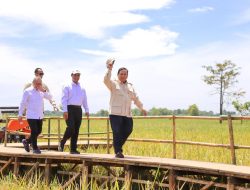 Ketahanan Pangan Indonesia Aman dan Kuat