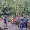 BNPB Pastikan Penanganan Darurat Banjir Bandang di Nagekeo