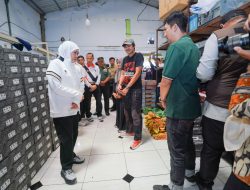 Khofifah Apresiasi Sepatu Olahraga UMKM Mojokerto, Dorong Ikut Misi Dagang untuk Perluasan Pasar