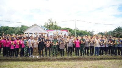 Panen Raya Jagung Hibrida di Mukok, Wabup Sanggau Dorong Ketahanan Pangan Daerah