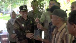 Program ICARE Dukung Kebangkitan Jeruk Sambas, 15 Ribu Bibit Disalurkan