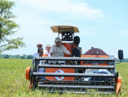 Setahun Pemerintahan Prabowo-Gibran, Kebijakan Pangan Tunjukkan Hasil Nyata