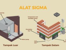 Penerapan Ipteks: Mahasiswa UGM Ciptakan Alat Sigma untuk Pengeringan Gerabah di Kasongan Bantul