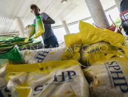 Stimulus Bantuan Pangan Disalurkan pada Oktober dan November 2025