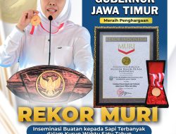 Jawa Timur Pecahkan Rekor MURI, Capai 1.099.397 Inseminasi Buatan Sapi Sepanjang 2025