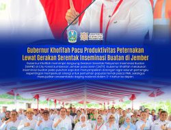 Pemprov Jatim Lakukan Gerakan Serentak Inseminasi Buatan, Gubernur Khofifah: Jika Masif, Indonesia Swasembada Daging Tahun 2029