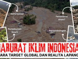 Darurat Iklim Indonesia: Antara Target Global dan Realita Lapangan