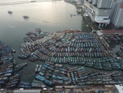 Izin Kapal di Muara Angke Disetop Sementara oleh KKP