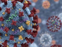 Kemenkes Nyatakan Influenza A(H3N2) Subclade K Terkendali di Tingkat Nasional