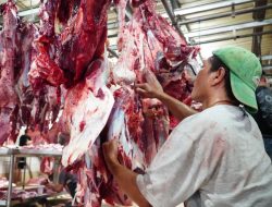 Impor Daging Ruminansia 2026 Diatur untuk Menjaga Ketersediaan Stok Nasional hingga Ramadan