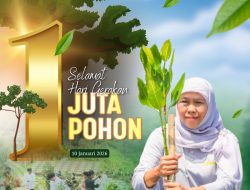 Di Hari Gerakan Satu Juta Pohon, Gubernur Khofifah Ajak Jaga Alam, Tanam, Rawat dan Peduli Lingkungan