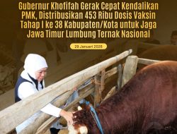 Gubernur Khofifah Distribusikan 453 Ribu Dosis Vaksin PMK Tahap I untuk Amankan Jawa Timur sebagai Lumbung Ternak Nasional
