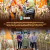 Panen Jagung di Banyuwangi, Bukti Kolaborasi Lintas Sektor Dukung Pangan Jatim
