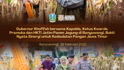 Panen Jagung di Banyuwangi, Bukti Kolaborasi Lintas Sektor Dukung Pangan Jatim