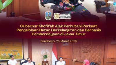 Gubernur Khofifah Terima Audiensi Dirut Perhutani, Ajak Perkuat Pengelolaan Kawasan Hutan Berkelanjutan di Jawa Timur