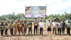 Antisipasi El Nino, Sumenep Percepat Tanam Padi dan Jagung Hibrida untuk Ketahanan Pangan