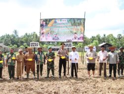 Antisipasi El Nino, Sumenep Percepat Tanam Padi dan Jagung Hibrida untuk Ketahanan Pangan