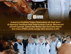 Gubernur Khofifah Tinjau Peternakan UD Sapi Baru di Nganjuk: Pastikan Stok Sapi Kurban Cukup, Memenuhi Syarat Syariah, Sehat dan Bebas dari Penyakit Mulut dan Kuku (PMK) serta _Lumpy Skin Disease_ (LSD)