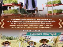 Gubernur Khofifah Pimpin Gerakan Panen dan Percepatan Tanam di Madiun, Produksi Padi Diprediksi Naik 5 Persen