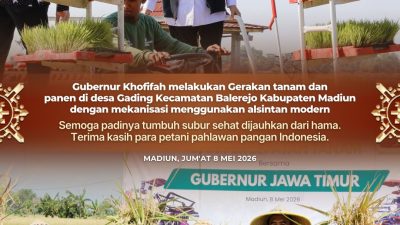 Gubernur Khofifah Pimpin Gerakan Panen dan Percepatan Tanam di Madiun, Produksi Padi Diprediksi Naik 5 Persen