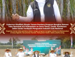 Program Bongkar Ratoon Tebu Serentak Diluncurkan, Gubernur Khofifah Tegaskan Komitmen Penguatan Industri Gula