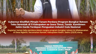 Program Bongkar Ratoon Tebu Serentak Diluncurkan, Gubernur Khofifah Tegaskan Komitmen Penguatan Industri Gula