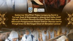 Gubernur Khofifah Tinjau Langsung Sentra Ternak Sapi di Bojonegoro Jelang Idul Adha 1447 Hijriah, Pastikan Hewan Kurban Sehat dan Aman dibawah Pengawasan Dokter Hewan serta Pengiriman ke Berbagai Daerah Berjalan Lancar