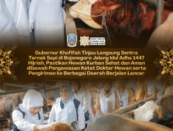 Gubernur Khofifah Tinjau Langsung Sentra Ternak Sapi di Bojonegoro Jelang Idul Adha 1447 Hijriah, Pastikan Hewan Kurban Sehat dan Aman dibawah Pengawasan Dokter Hewan serta Pengiriman ke Berbagai Daerah Berjalan Lancar