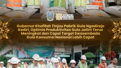 Gubernur Khofifah Tinjau PT Sinergi Gula Nusantara PG Ngadirejo Kediri, Optimistis Produktivitas Gula Jatim Meningkat