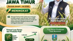 Potensi Produksi Padi Jatim Januari–Juli 2026 Tertinggi Se-Indonesia, Gubernur Khofifah Apresiasi Ketangguhan Petani