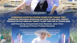 Gubernur Khofifah Pimpin Panen dan Tanam Tebu Serentak Program Bongkar Ratoon di Malang, Genjot Produktivitas Tebu Jatim