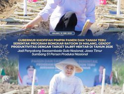 Gubernur Khofifah Pimpin Panen dan Tanam Tebu Serentak Program Bongkar Ratoon di Malang, Genjot Produktivitas Tebu Jatim