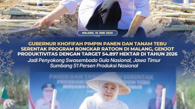 Gubernur Khofifah Pimpin Panen dan Tanam Tebu Serentak Program Bongkar Ratoon di Malang, Genjot Produktivitas Tebu Jatim
