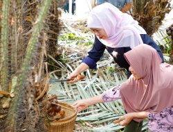 Gubernur Khofifah Panen Salak Madu di Desa Wonoagung, Dorong Hortikultura Perkuat Ekonomi Jawa Timur
