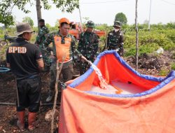 BPBD Palangka Raya Perkuat Upaya Penanganan Karhutla di Jalan Tabat Kalsa
