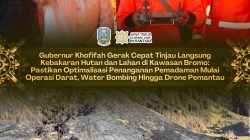 Gubernur Khofifah Tinjau Pemadaman Karhutla Bromo, Pastikan Operasi Darat, Water Bombing dan Drone Dioptimalkan