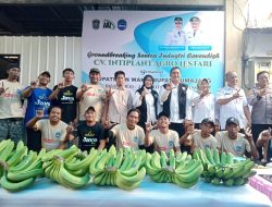 Pisang Cavendish Lumajang Masuk 15 Pasar di Jatim dan Bali